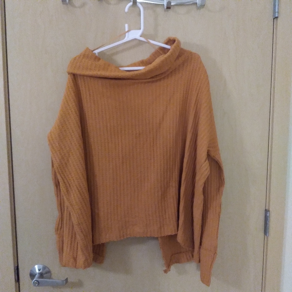 NWOT Free People Juicy Long Sleeve Top (S)